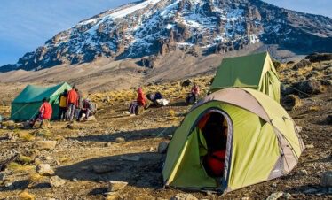 Kilimanjaro Hike via Machame Route - Roots & Peaks