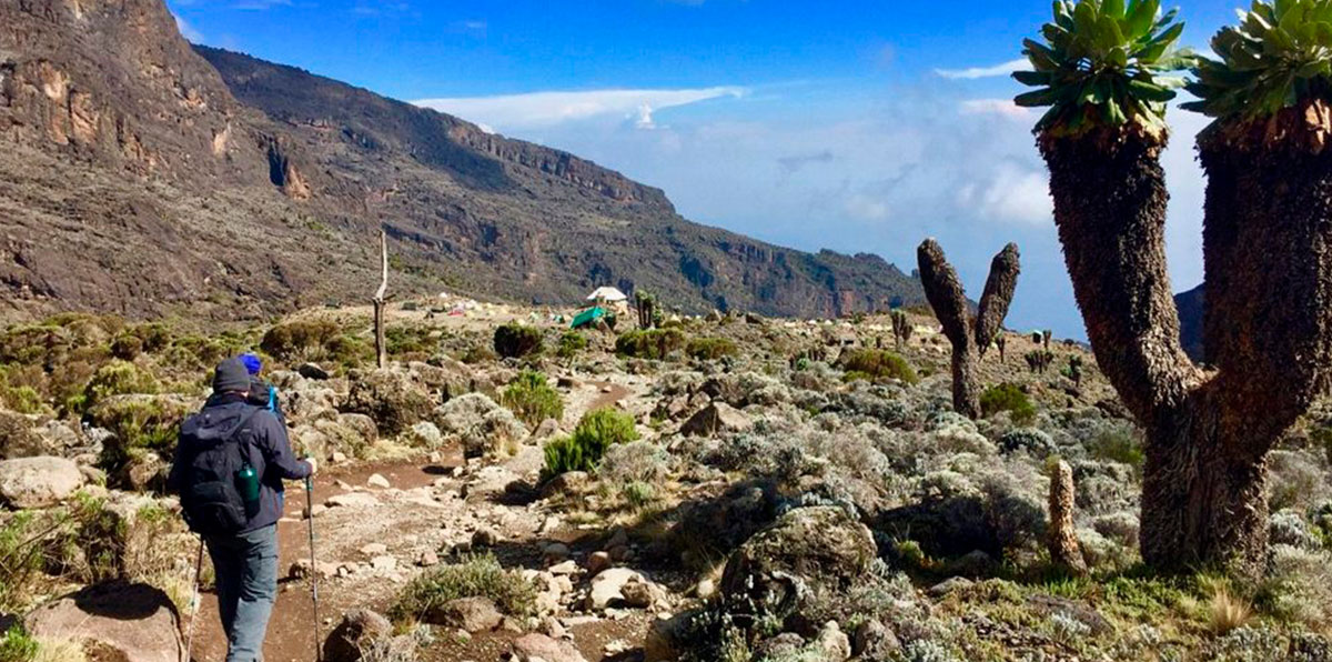 Kilimanjaro Hike via Machame Route - Roots & Peaks